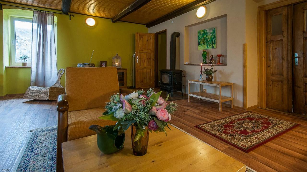 Apartmany U Kaplicky Kamyk nad Vltavou Ngoại thất bức ảnh